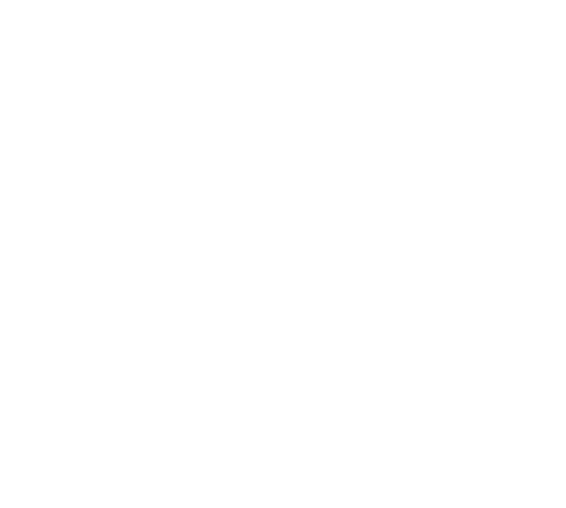 assessment icon